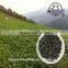 2015 Wholesale High Quality Anxi Tiekuanyin Oolong Tea