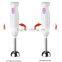 stainless steel stick hand blender ac motor 200/300w