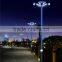 solar lamp garden/solar garden lighting pole light/Flower garden lamp