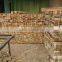 Vietnam sawn timber wood for furniture