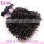 Raw unprocessed loose curly weave hair top grade 10a virgin mongolian virgin loose curly hair