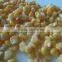 New crop Canned Sweet Corn Kernel