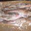 Frozen Asian carp