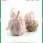 shandong jinxiang fresh and frozen Best quality white garlic
