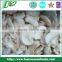 Wholesale frozen champignons,fresh mushroom 2015 new season