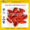 GMP Certified Manufacturer Supply 2016 Chinese Goji Berry
