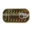 Canned meat, Canned luncheon meat high meat content 50%