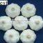 CHINA PURE WHITE FRESH GARLIC