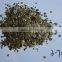 Bulk Unexpanded Crude Raw Vermiculite Wholesale with attractive price