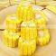 to be distributed all over the world humic fulvic acid from leonardite