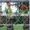 Galvanized Chain Link Fence/PVC Coated Chain Link Fence /Electro Galvanized Iron Fence