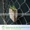 Excellent Protection Function Chain Link Fence