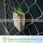 China exporter 9 gauge chain link wire mesh fence