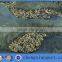 HDPE Agricultural Fruit/Olive Net/Harvest Net/Collection Net