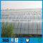 pp spunbonded non woven fabric for green house