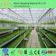 Cheap polycarbonate agricultural greenhouse , low cost tunnel plastic greenhouse for sale