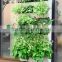 DIY 2016 china Hot sell Artificial leaf wall plastic wall Vertical Garden Green Wall,Self watering Greenwall