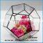 Polygonal geometric glass terrarium wholesale container