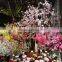 wholesale artificial flowers Cherry Blossom for wedding and home decoration