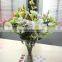 Tongxin different color grandiflorum guangdong factory 27051