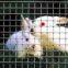 welded wire mesh