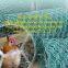 Chicken Wire
