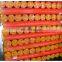 Tarpaulin pe plastic sheet/pe tarpaulin roll/pe tarpaulin vietnam