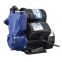 LW60-300A Self Priming Water Pump