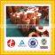 ASTM 99.99% Pure Copper coil/Copper strip
