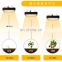slim seeding growing hydroponic 1000w indoor plants led grow light full spectrum Phyto lamp