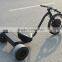 20" Front Wheel Slider Electric Trike