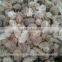 Coconut from 500gms to 600gm
