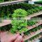 Architectural miniature plastic and iron wire model trees for model train scape layout