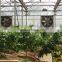 Greenhouse automatic swung drop hammer exhaust fan