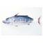 Good quality IQF frozen whole round skipjack tuna