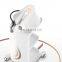 Professional Meso Face Lifting Electroporation Mesotherapy Machine with rf cryo