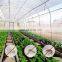 60 Mesh Greenhouse Vegetable Anti Insect Pest Fly Net Thickened Agricultural Breeding Garden Crop Plant Protection Cover Netting