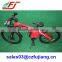 2015 hot selling 36V 250W bicycle with brushless hub motor, electric bike EAGLE(FJ-TDE01)