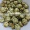 Wholesale Roasted Nori Powder Seaweed Chips for Popcorn/Cracker in Bulk