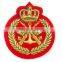 Embroidery Embroidred Hand Machine Bullion Patches Fashion Rank Badges