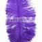 26"-28" Purple Ostrich Feather Plumes For Halloween Headdress Decoration
