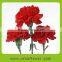 Fragrant aroma good smell carnation plants
