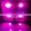 Grow System Full spectrums COB &UV 370W LED Grow Light for indoor using