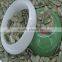 Pumpkin Kernel snow white shine skin GWS , new crop 2015 high quality