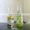 Mouthblown heat resistant Pyrex glass water decanter