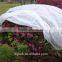 PP spunbonded nonwoven plant pot cover