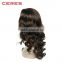 F4/30# Long Curly Hair Wig, 100% High Temperature Fiber Curly Wig for Women