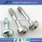 Stainless Steel Panel Screw with Passivation
