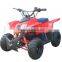 1000W 48V Electric Quad Bike for Sale