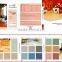 PVC bus flooring vinyl flooring